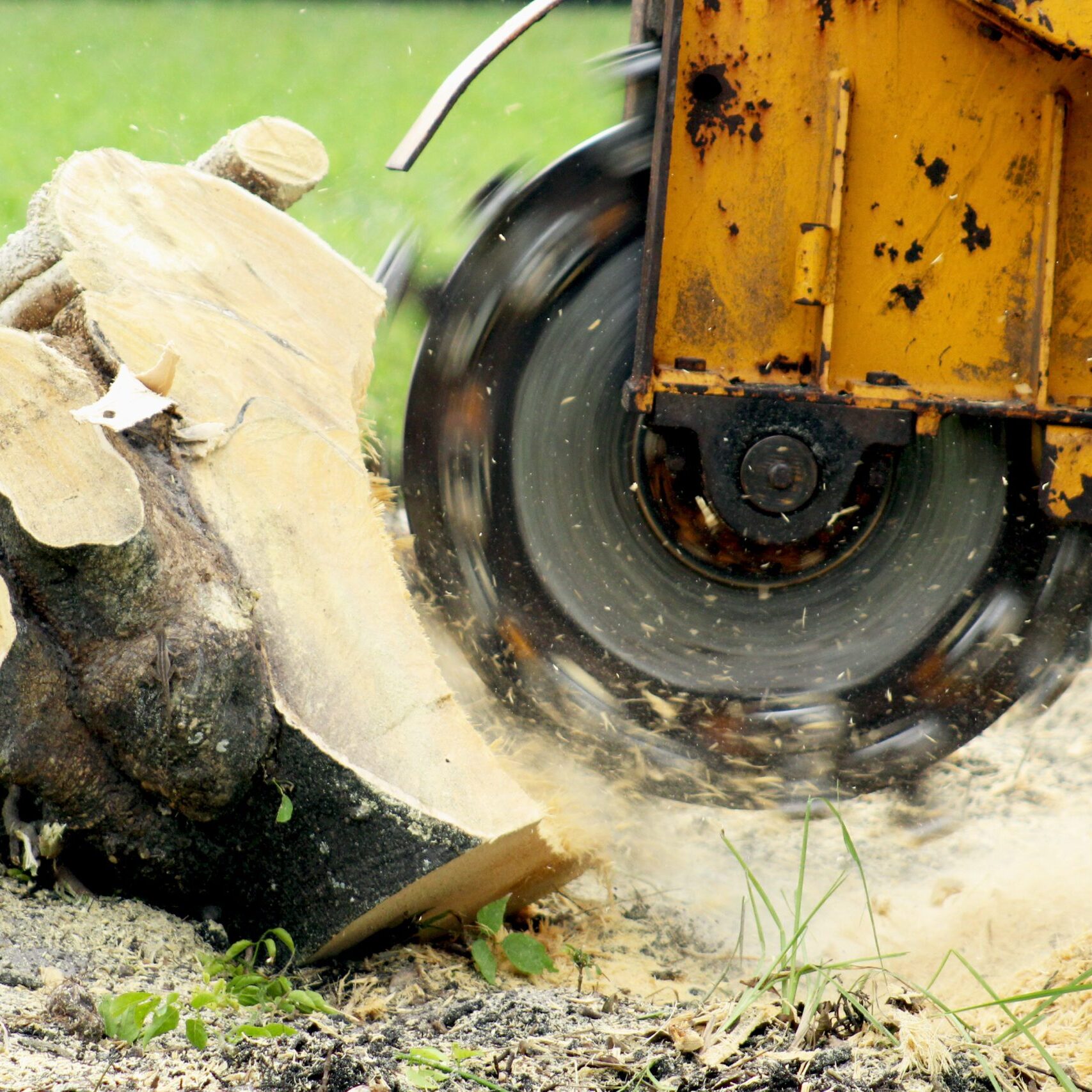 Stump Grinding Machine